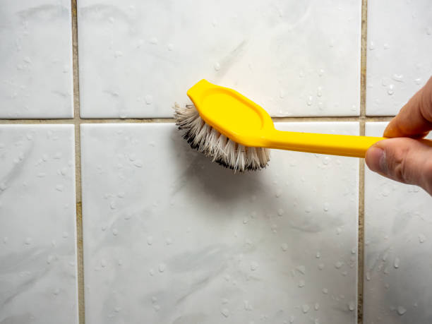 Best Commercial Mold Removal  in Quakertown, PA