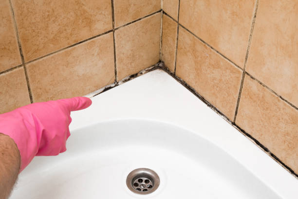 Best Office Mold Removal Services  in Quakertown, PA